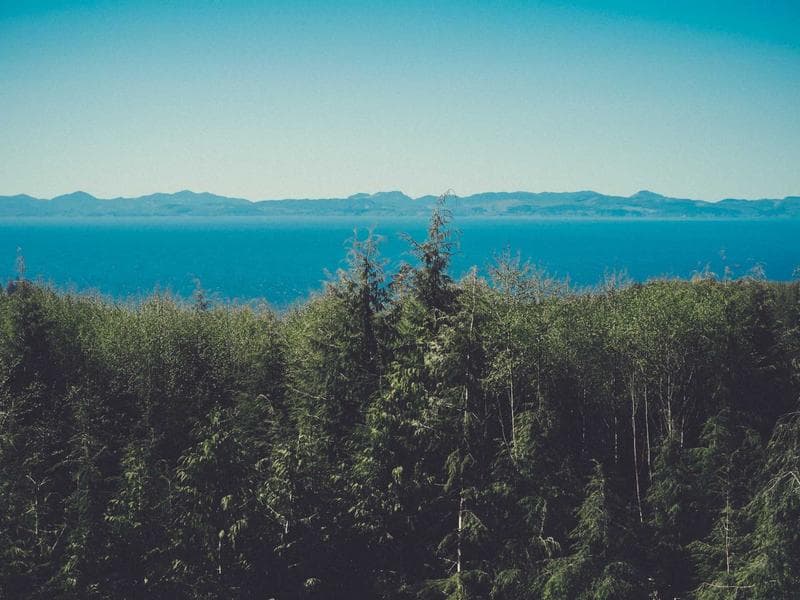 New Vaccine Drive Launched to Combat Seasonal Flu