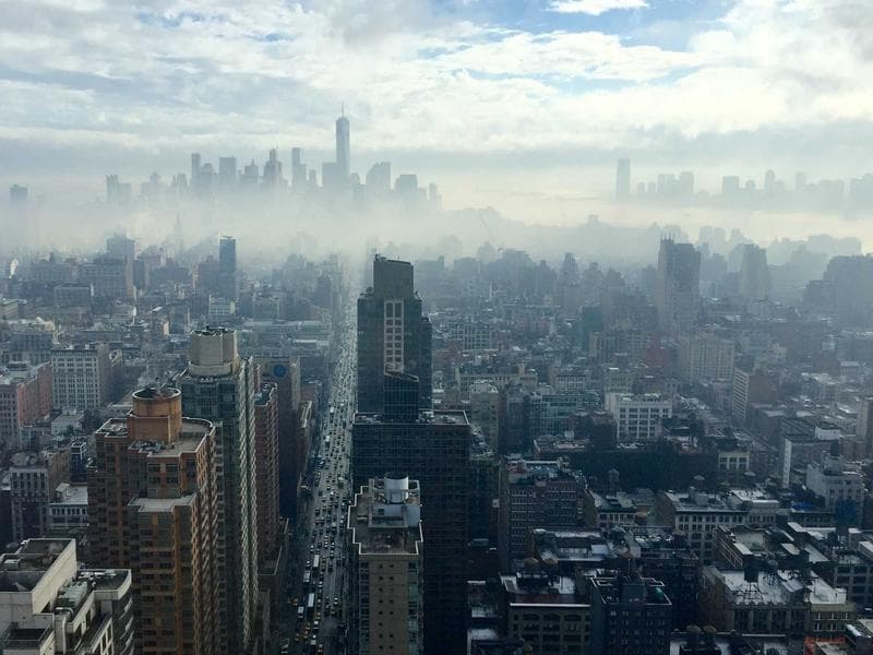 Forest Cover Increases by 2% in Latest Survey